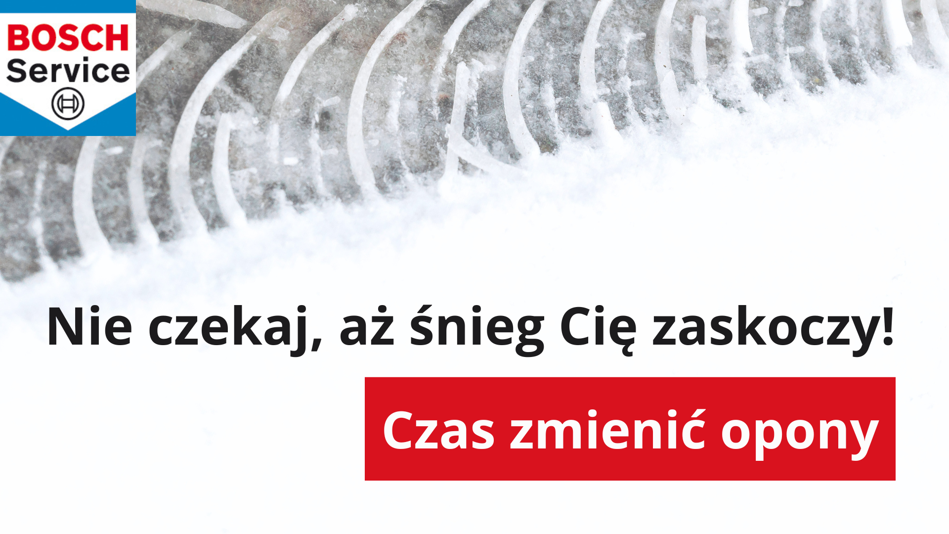 Zdjęcie 1